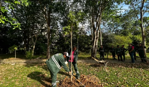 Prefeitura veta projeto que reduz área de preservação em áreas de Manaus