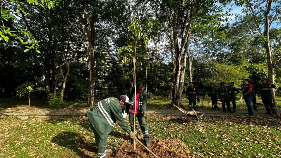 Prefeitura veta projeto que reduz área de preservação em áreas de Manaus