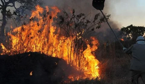Monitor do Fogo aponta aumento de 96% de áreas queimadas em Roraima