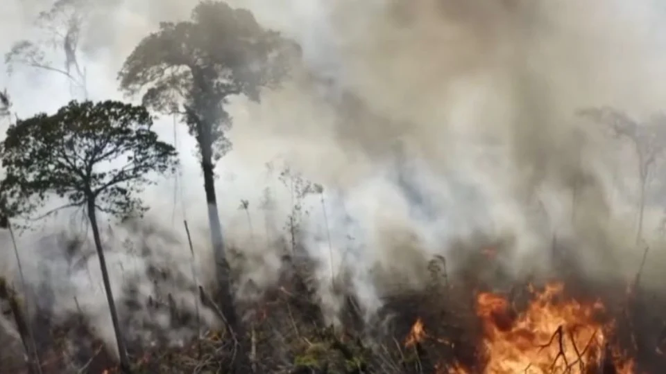 Acre registra redução no número de queimadas no primeiro semestre de 2023