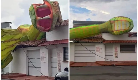VÍDEO: alegoria do boi Garantido tomba sobre casa em Parintins-AM