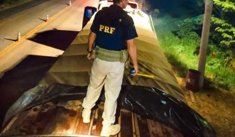 Em Humaitá-AM, caminhão é apreendido com 35m³ de madeira ilegal