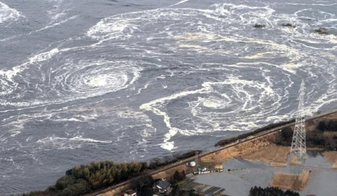 China suspende importação do Japão devido ao despejo de água de Fukushima