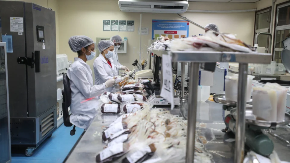 AM: doenças sanguíneas, câncer e cirurgias impulsionam demandas por transfusões