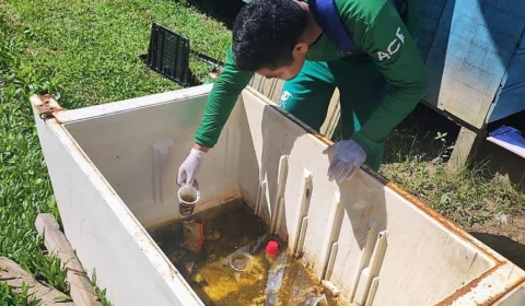 Chikungunya: Amazonas apresenta estabilidade nos casos da doença