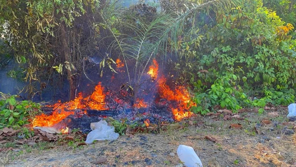 Áreas de vegetação: mais de 20 incêndios são registrados em Manaus