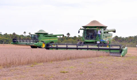 RR: Produtores esperam colher 360 mil toneladas de soja em 2023