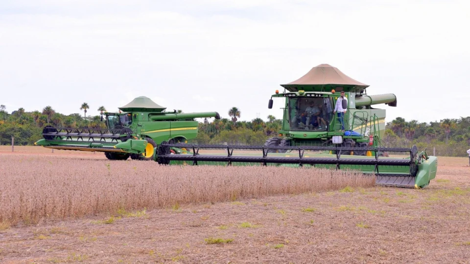 RR: Produtores esperam colher 360 mil toneladas de soja em 2023
