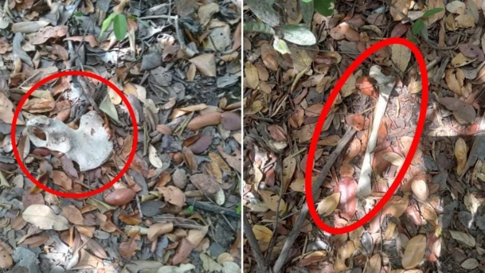 Polícia Civil encontra ossada humana na Ilha do Bananal, em Tocantins
