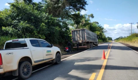 Aderr pede que transportadores de animais cadastrem seus veículos, em RR