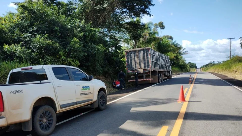 Aderr pede que transportadores de animais cadastrem seus veículos, em RR