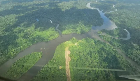 CPI das ONGs vai ouvir presidente do ICMBio nesta terça-feira (31)