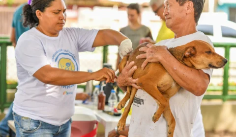 Campanha de Vacinação Antirrábica imunizou mais de 22 mil animais em Boa Vista