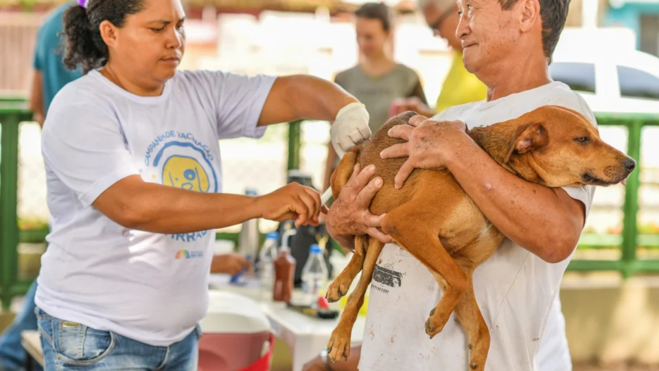 Campanha de Vacinação Antirrábica imunizou mais de 22 mil animais em Boa Vista