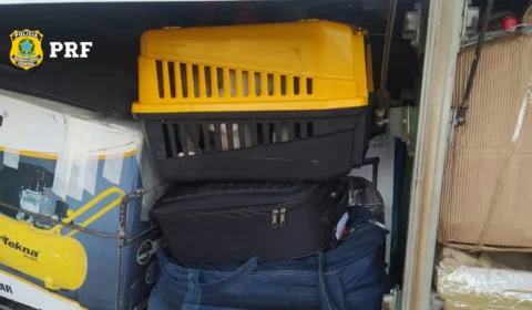 Homem é preso com drogas em viagem de ônibus de Tocantins para Maranhão