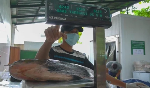 ‘Feira do Tambaqui’ em Manaus comercializa peixe à partir de R$ 10; confira