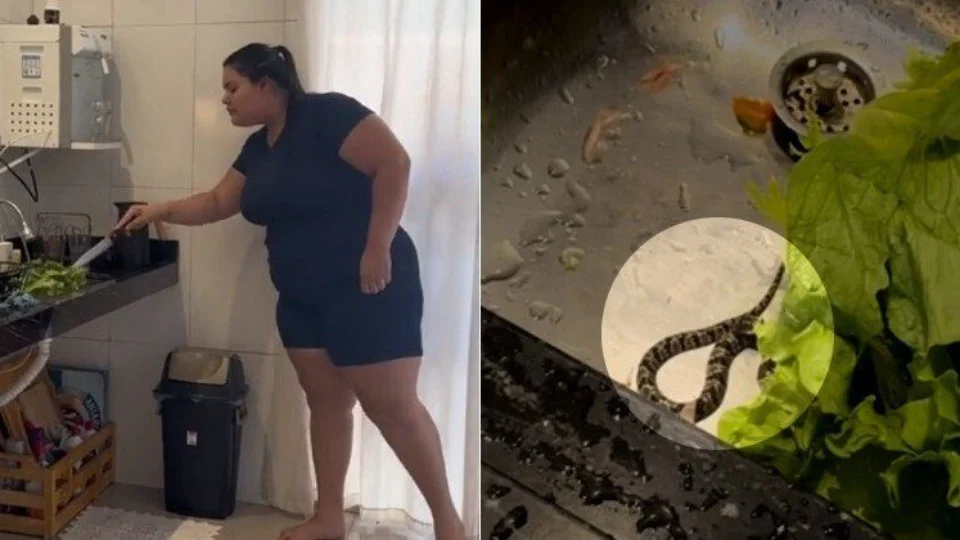 Vídeo: mulheres se assustam ao encontrarem cobra em pé de alface em GO