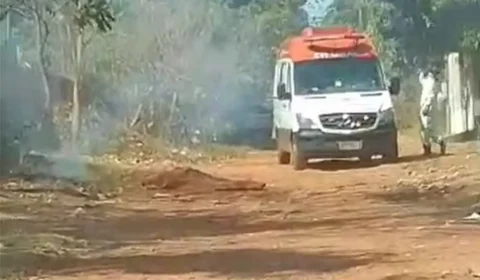Idoso morre após ser atacado por abelhas no Mato Grosso