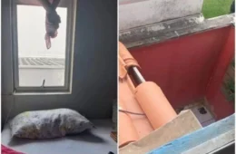 Bebê fica em estado grave após cair do 2° andar de sua casa em Bombinhas-SC