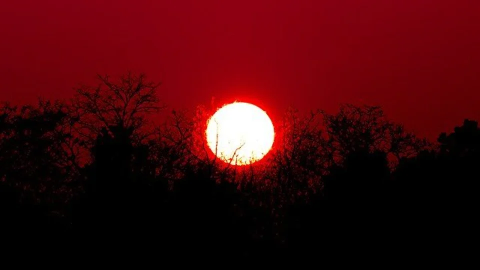 Estudo diz que cidades do Brasil terão até 258 dias de calor extremo