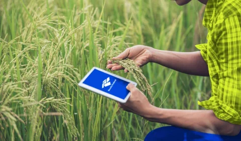 Imposto Rural: mais de 14 mil produtores devem fazer declaração em Roraima