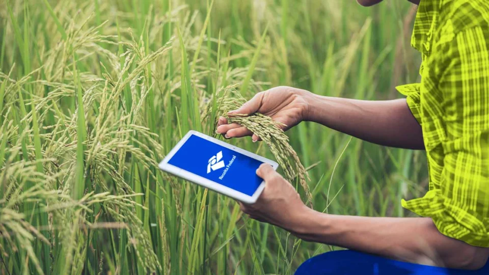 Imposto Rural: mais de 14 mil produtores devem fazer declaração em Roraima