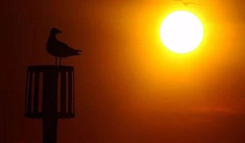 Manaus atinge recordes de calor durante agosto; veja previsão para setembro