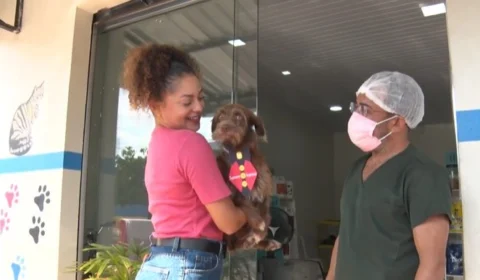 VÍDEO: Especialista de RR ensinam cuidados essenciais com animal de estimação