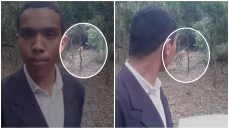 VÍDEO: onça-parda observa pastor em mata de SP: ‘Jesus tira essa onça daqui’