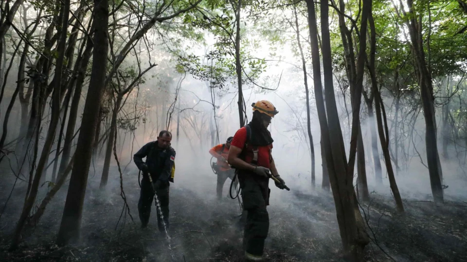Governo reforça equipe de brigadistas para combater queimadas no AM