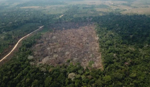 CPI das ONGs vai ouvir mais duas diretoria de ONGs que atuam na Amazônia