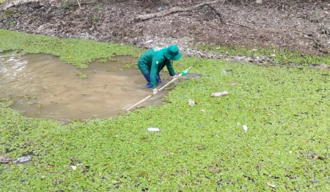 Amazonas registra queda de apenas 5,6% em casos de malária em 2023