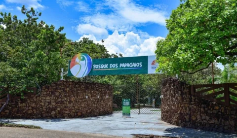 Prefeitura de Boa Vista fecha Bosque dos Papagaios para manutenção