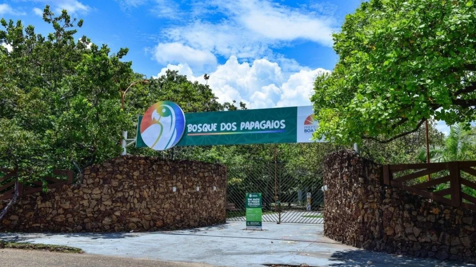 Prefeitura de Boa Vista fecha Bosque dos Papagaios para manutenção