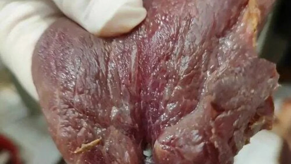 TO: fiscalização apreende mais de uma tonelada de carnes podres em Guaraí