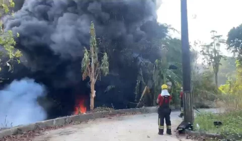 VÍDEO: incêndio atinge área de mata no Mauazinho, Zona Leste de Manaus