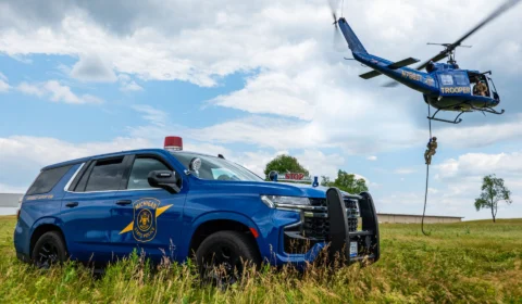 EUA: criança é encontrada na floresta usando cachorro como travesseiro