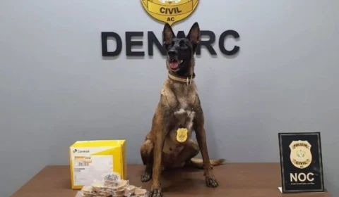 Cadela farejadora descobre cocaína em agência dos Correios no Acre