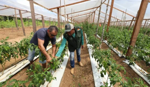 Idam alerta agricultores para envio de declaração no Amazonas