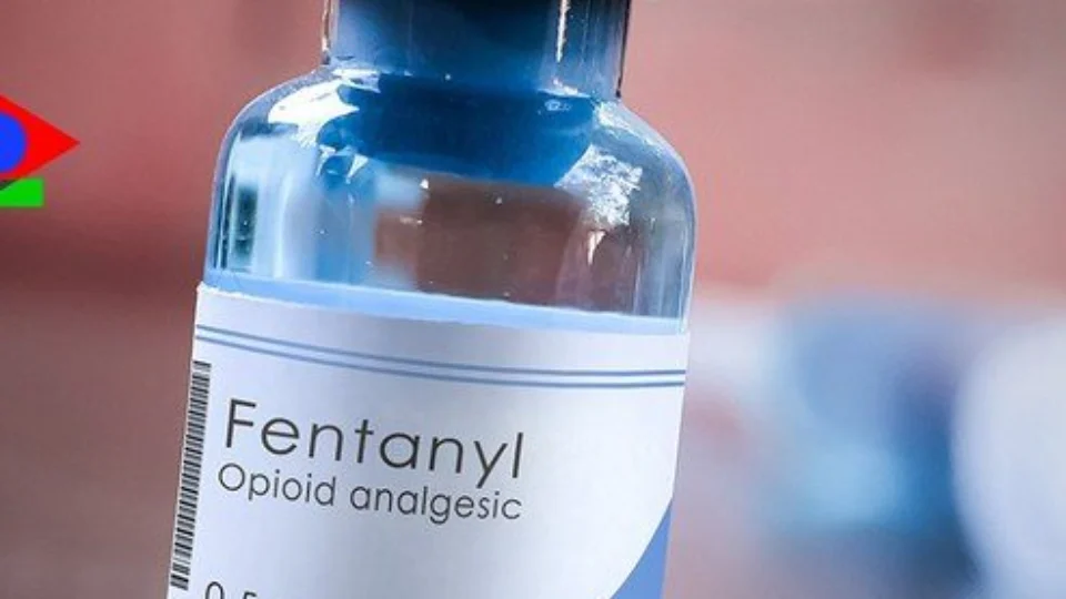 Quatro pessoas são presas por produzirem drogas dentro de creche em NY