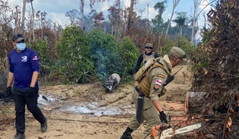 Operação no AM resulta em mais de R$ 10 milhões de multas em crimes ambientais