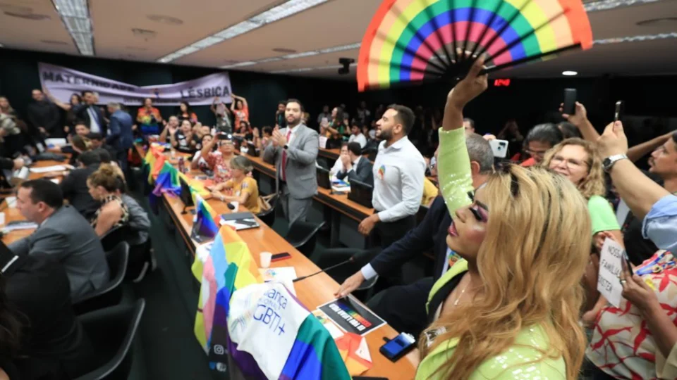 Após proibição de casamento homoafetivo, políticos se manifestam contra proposta