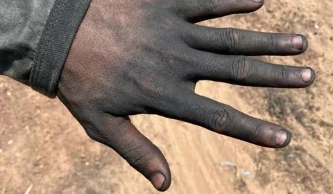 Sete pessoas são resgatados em condições análogas à escravidão no TO