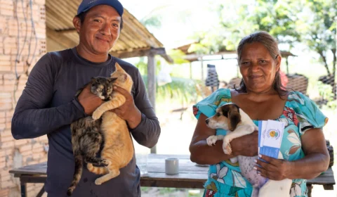 Campanha Antirrábica imunizou 785 animais na Zona Rural de Boa Vista