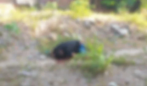 Jovem é morto com quase 20 tiros no Jorge Teixeira, em Manaus