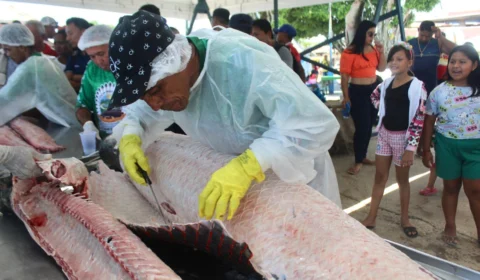 Festival oferece pescado com preços acessíveis em Atalaia do Norte-AM