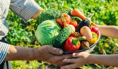 Programa de Aquisição de Alimentos abre inscrições em RR