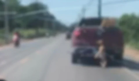 VÍDEO: cadela morre após ser arrastada por veículo em Itacoatiara-AM