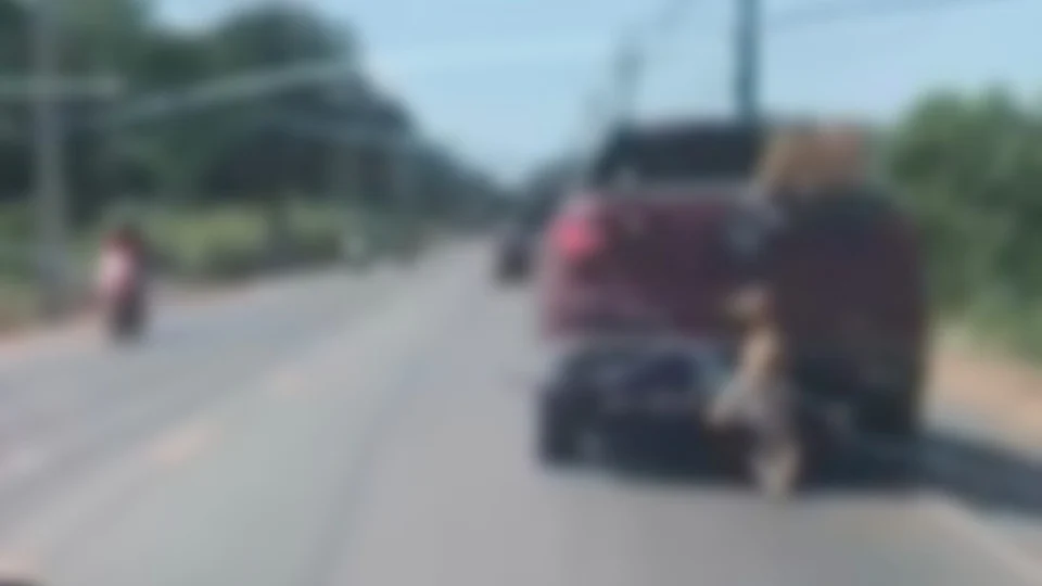 VÍDEO: cadela morre após ser arrastada por veículo em Itacoatiara-AM