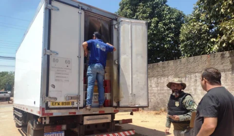 Caminhão com 3,5 mil kg de pescado ilegal é apreendido no Tocantins